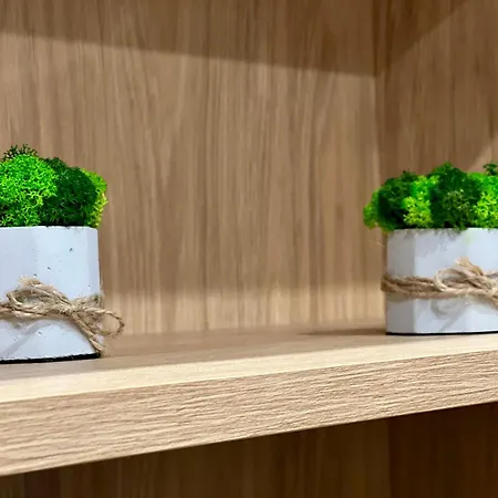 Osapart Shevchenka 19 *