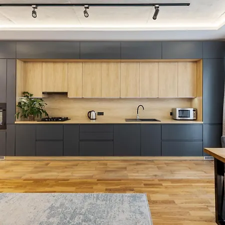 Osapart Shevchenka 19 * 리비프