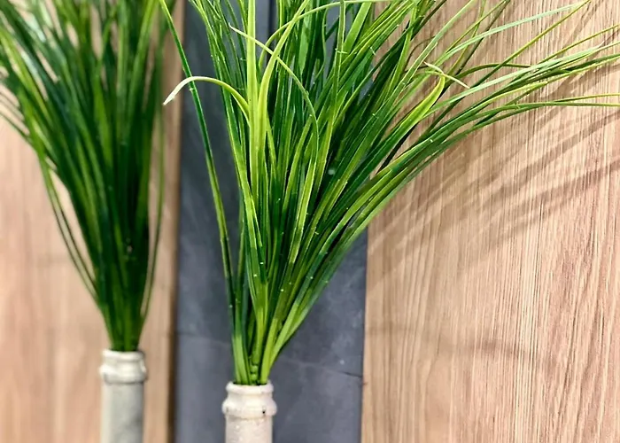 Osapart Shevchenka 19 Lejlighed Lviv