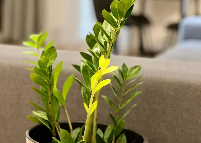 Osapart Shevchenka 19 Apartamento *