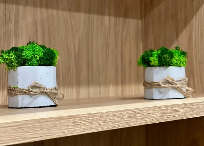 Osapart Shevchenka 19 *