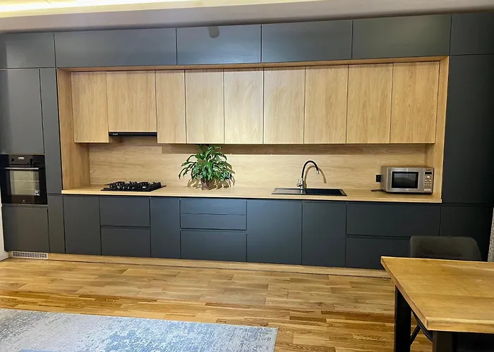 Osapart Shevchenka 19 לבוב