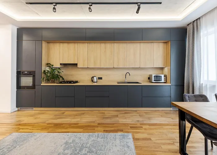 Osapart Shevchenka 19 * 리비프