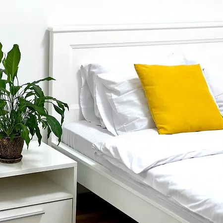 Osapart Shevchenka 19 *