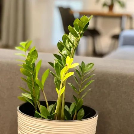 Osapart Shevchenka 19 Apartman *