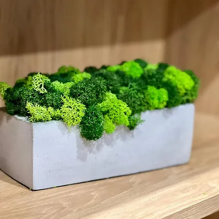 Osapart Shevchenka 19 Lviv